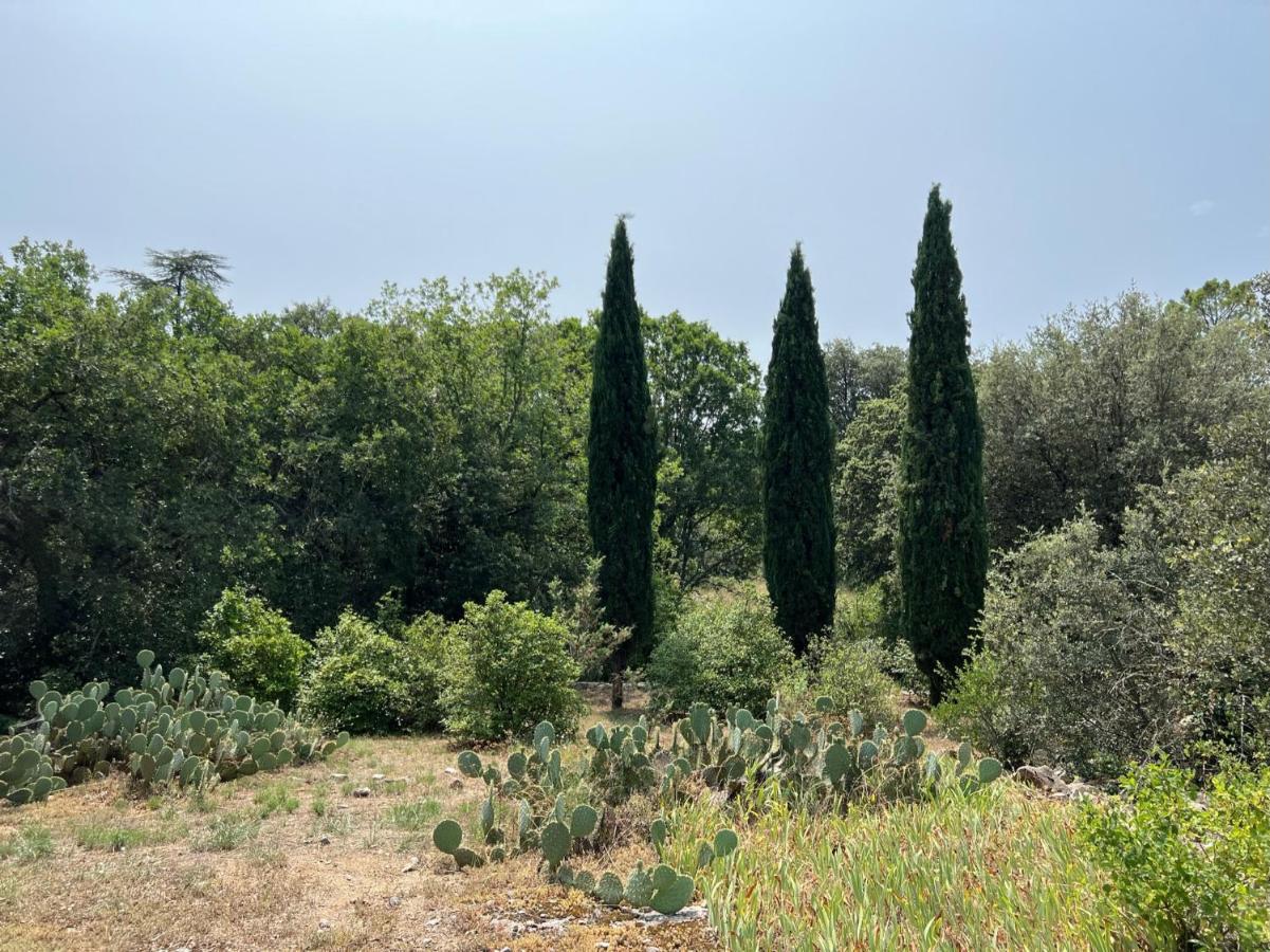 Luxurious Family House With Pool In Ardeche. Villa Les Vans Eksteriør bilde