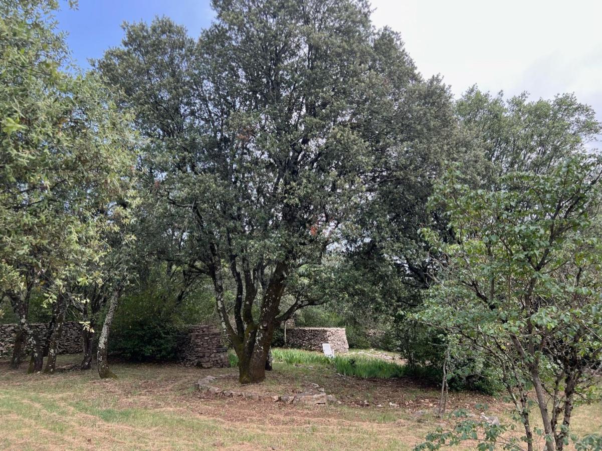 Luxurious Family House With Pool In Ardeche. Villa Les Vans Eksteriør bilde